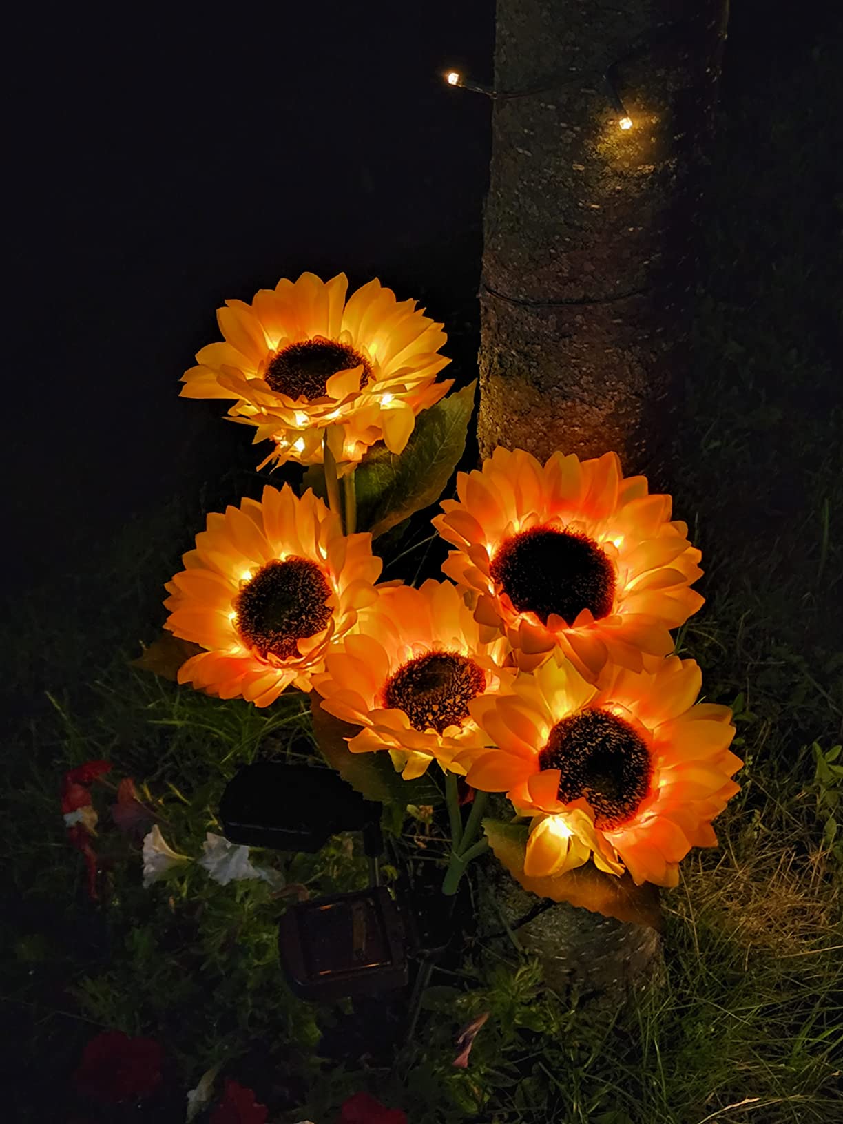 — <strong>Linda R.</strong>
